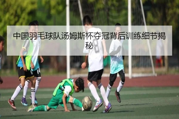 中国羽毛球队汤姆斯杯夺冠背后训练细节揭秘